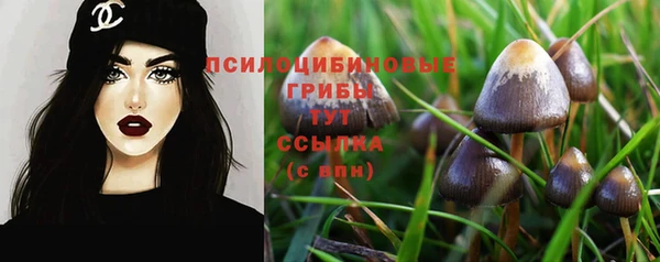 а пвп мука Михайловка