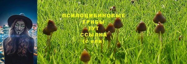 mdma Михайловск