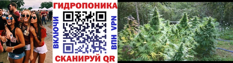 Бошки Шишки VHQ  закладки  Сураж 